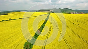 Aerial panoramic view above blooming yellow rapeseed field. Aerial view with background of blue sky and clouds. Italy