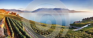 Aerial panoramic view of the city of Vevey at Lake Geneva with vineyards of famous Lavaux wine region on a beautiful sunny day.