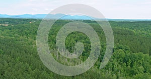 Aerial panoramic view on forest in summer nature between by mountains in Campobello, South Carolina