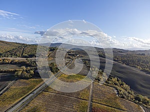 Aerial panoramic view on hills of Val d`Orcia near Pienza, Tuscany, Italy. Tuscan landscape with cypress trees, vineyards, forest