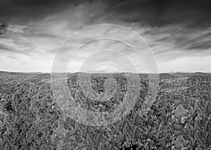 Aerial panoramic view of New England foliage forest at sunset