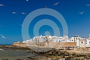 Aerial panoramic view on old city Essaouira in Morocco