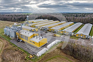 aerial panoramic view over silos and agro-industrial livestock complex on agro-processing and manufacturing plant with modern