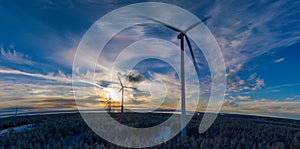 Aerial panoramic view on Sunset on round Earth, curved horizon line with windmills farm rising above winter pine tree forest