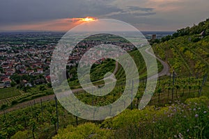 Aerial panoramic view from the vineyard hill on the Mountain Road Bergstrasse valley an the roofs of the German town Schriesheim