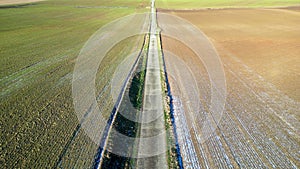 Aerial Perspective of a Narrow Rural Road Amidst Winter Fields