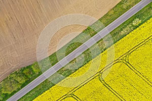 Aerial perspective view on rural landscape with yellow field of blooming rapeseed, diagonal line tractor tracks, plowed soil,