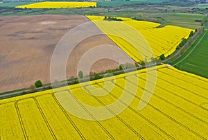 Aerial perspective view on rural landscape with yellow field of blooming rapeseed, diagonal line tractor tracks, plowed soil,