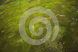 Aerial photo backgrounds