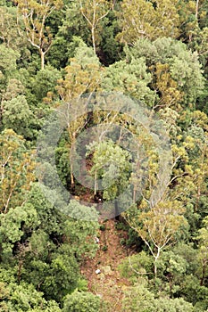 Aerial photo of a campsite among green trees