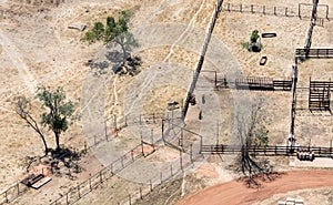 Aerial photo of cattle farm