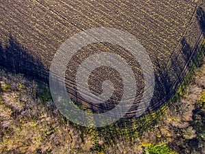 Aerial photo of a field with harvested crop, road and trees, on an autumn sunny day