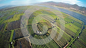 Aerial photo of floating gardens on Inle Lake