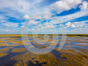 Aerial photo Florida Everglades nature landscapes