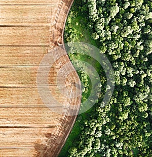 Aerial photo flying over yellow grain wheat field