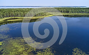 Aerial photo of forest boggy lake in the Karakansky pine forest near the shore of the Ob reservoir