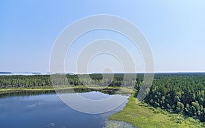 Aerial photo of forest boggy lake in the Karakansky pine forest near the shore of the Ob reservoir