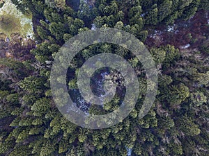 Aerial photo of glacier valley and snow covered forest. Forest f