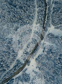 Aerial photo of glacier valley and snow covered forest. Forest f