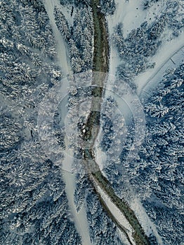 Aerial photo of glacier valley and snow covered forest. Forest f