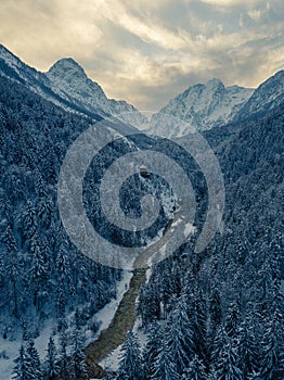 Aerial photo of glacier valley and snow covered forest. Forest f