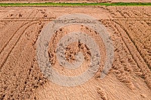 Aerial photo of a grain field marked by heavy rain with traces of a tractor and a green field path