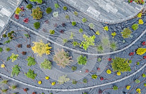 Aerial Photo of Newly Established Rockery Garden