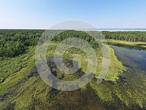 Aerial photo panorama of forest bog in the Karakansky pine forest near the shore of the Ob reservoir