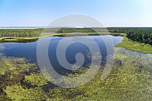 Aerial photo panorama of forest boggy lake in the Karakansky pine forest near the shore of the Ob reservoir