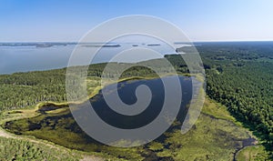 Aerial photo panorama of forest boggy lake in the Karakansky pine forest near the shore of the Ob reservoir