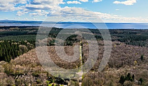 Aerial Photo of Randalstown Forest on Lough Neagh Antrim Northern Ireland