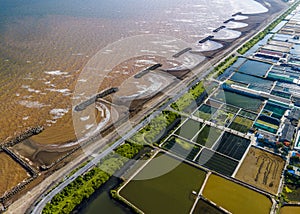 Aerial photo of shrimp farms in coastal areas of Giao Thuy dist. Namdinh, Vietnam.