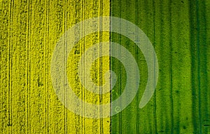 Aerial photo of some agricultural fields.