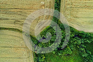 An aerial photo of three small crop fields and a lush forest