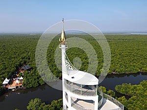 Aerial Photo of Tower building in the middle of the Mangrove Forest, Langsa City, Aceh