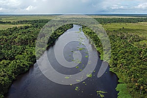 Aerial photograph of the river in the Orinoco Delta, Venezuela