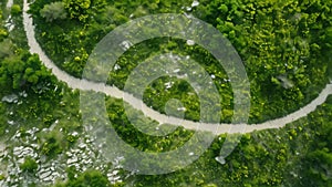 This aerial photograph showcases a meandering path surrounded by a dense forest, providing a birds-eye view of the natural