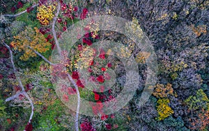 Aerial photography - Autumn colors