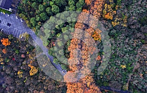 Aerial photography - Autumn colors