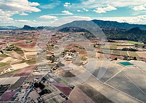 Aerial photography of a blossoming fruit trees