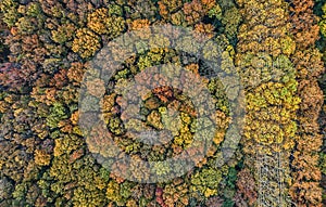 Aerial photography - botanical garden autumn scenery