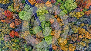 Aerial photography - botanical garden autumn scenery