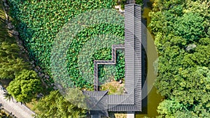 Aerial photography of Chang\'an Park and Longquan Tower in Chang\'an District, Shijiazhuang City, Hebei Province, China