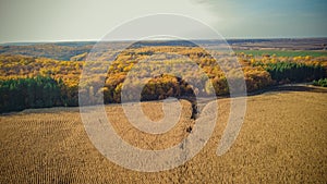 aerial photography of cornfields in Russia