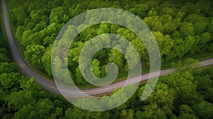 aerial photography of curved road on summer, colorful sumer nature colors on trees with sunset light