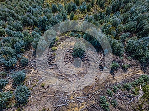 Aerial photography, Deforestation. Aerial photo of environmental damage