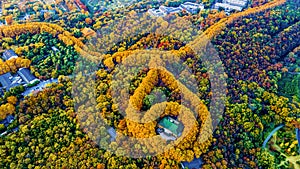 Aerial photography of Meiling Palace Scenic Spot in Nanjing City, Jiangsu Province, China and the Nanjing urban building complex