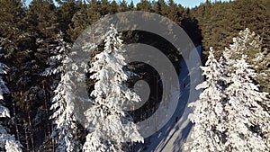Aerial photography. Skiers run along the biaton track in a snowy forest. View from above