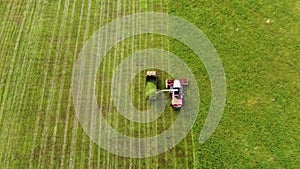 Aerial photography. Wide and close-up shots of a harvester cutting green grass. Birds of prey swirl over cars. The concept of sust