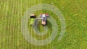 Aerial photography. Wide and close-up shots of a harvester cutting green grass. Birds of prey swirl over cars. The concept of sust